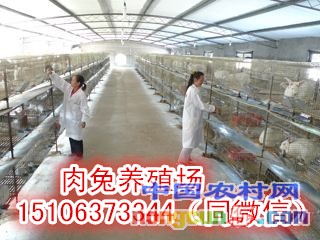 9_副本