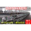 阜陽今日肉兔價(jià)格走勢是多少