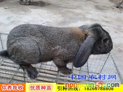297391-11215343_副本