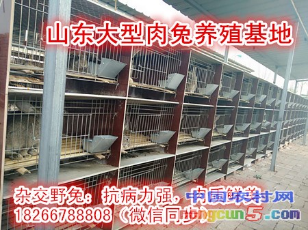 微信圖片_20180402100416_副本