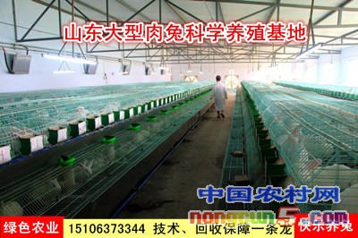 12_副本