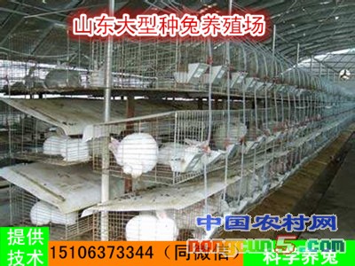 11_副本