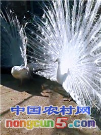 QQ圖片20180507155600_副本_副本