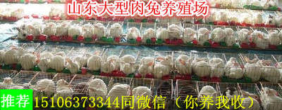 3_副本
