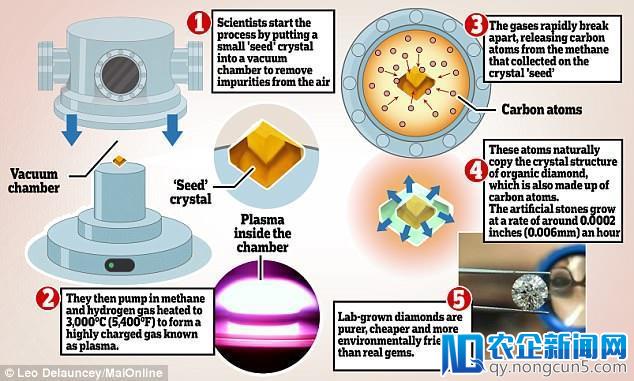 科学家在实验室「养」出了钻石，以后大钻戒可能越来越不值钱了