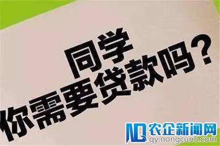 网络公司放"校园贷"骗300余名学生，负责人被判10年