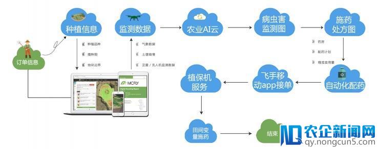 专访麦飞科技宫华泽：AI+无人机遥感监测如何升级传统农业