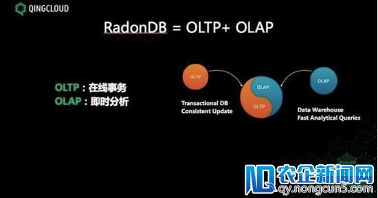 青云发布RadonDB数据库 你想知道的都在这里