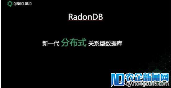 青云发布RadonDB数据库 你想知道的都在这里