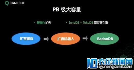 青云发布RadonDB数据库 你想知道的都在这里