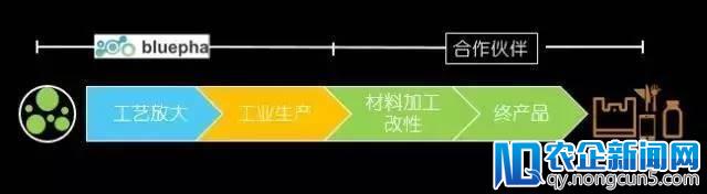 合成生物学企业蓝晶微生物科技完成1000万元Pre-A轮融资，力合创投领投