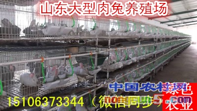 7_副本