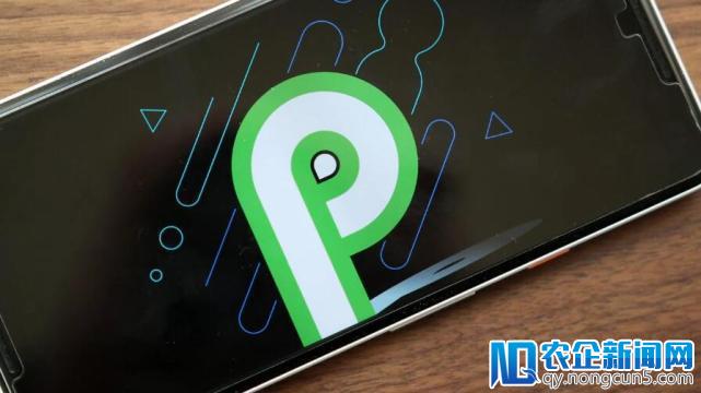 Android P虽好 但目前只有6%手机可升级至该版本