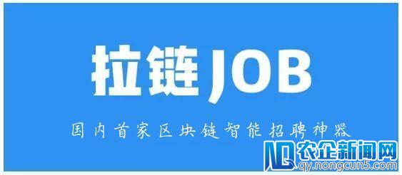 国内首个区块链+招聘落地项目！拉链JOB为区块链行业提供招聘难解决方案