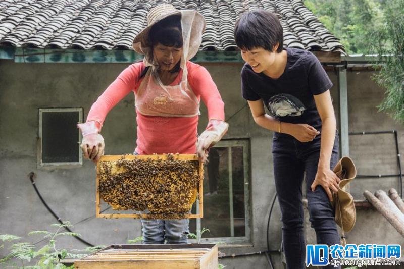 从阿里到青川，这群志愿者一路走了十年-天下网商-赋能网商，成就网商