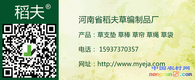 推廣廣告