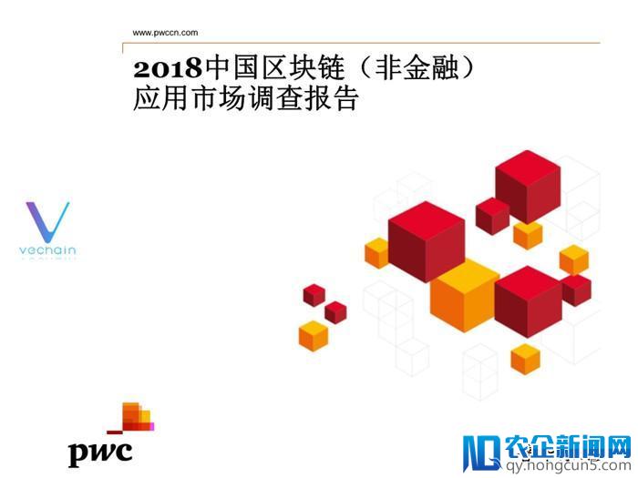 2018中国区块链(非金融)应用市场调查报告（全文）