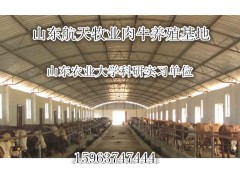 浙江省黃牛養(yǎng)殖場