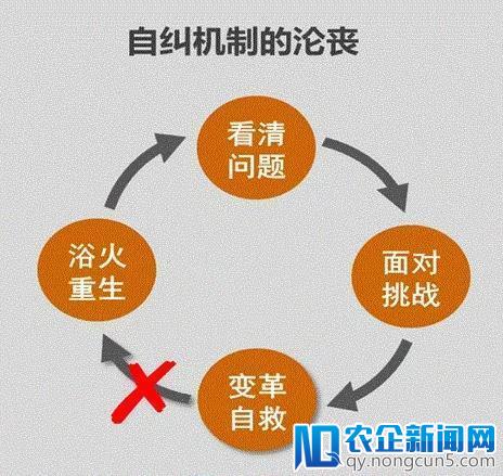 任正非签发内部文整理：如何为华为延长生命？