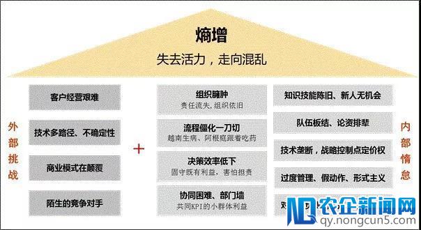 任正非签发内部文整理：如何为华为延长生命？