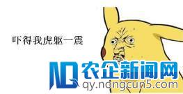 大秘密！国际警方利用社交平台上的音频来破案