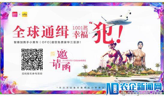 智惠加全球“通缉幸福犯”完爆“世界上最好的工作”！