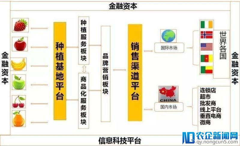 命门或假象？水果的标准化之路