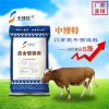 寧夏育肥牛專用預(yù)混料廠家直銷