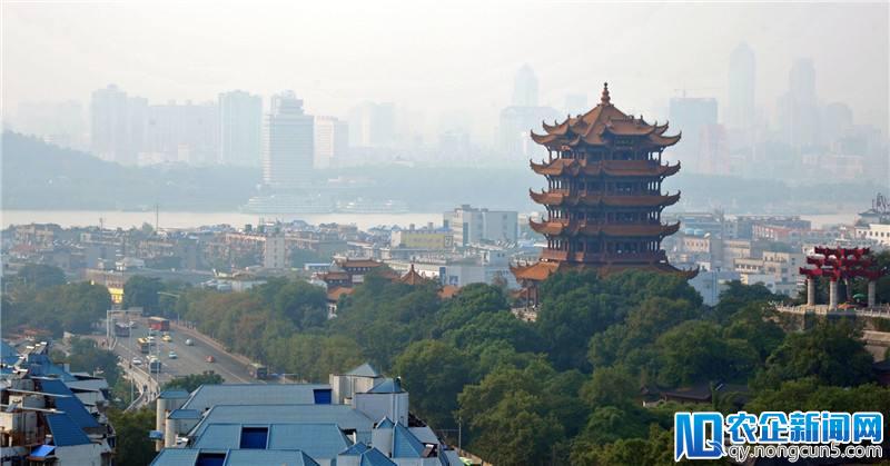 前赶集网CTO罗剑：火花思维在武汉设立新总部，将招聘2000人【第二总部系列报道之楚才回家北京站专栏①】