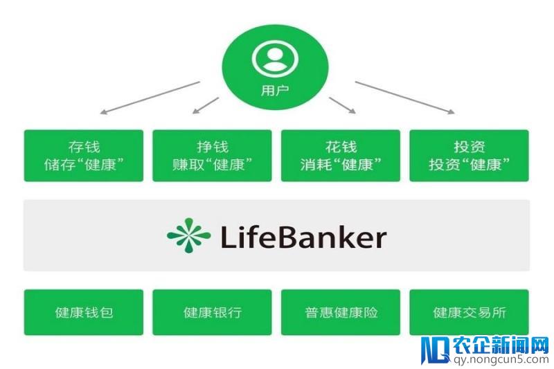 LifeBanker 夏立：借助区块链技术 让医疗行业不再“痛”