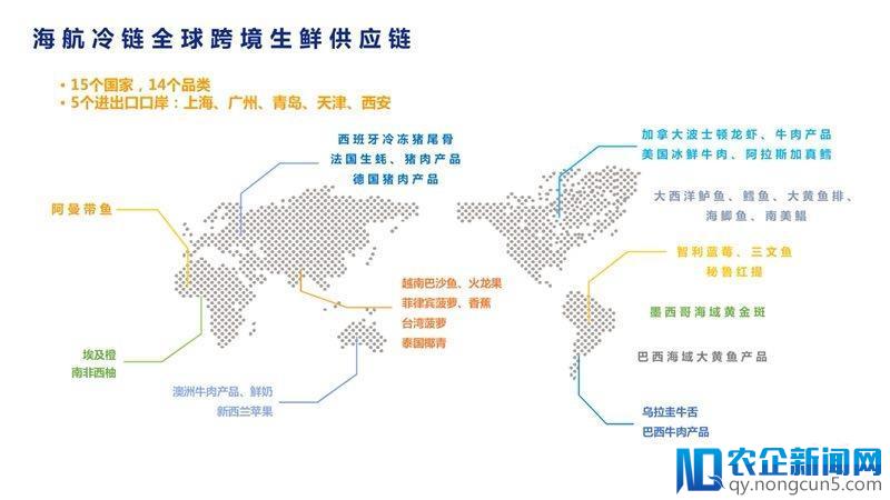 从源头到舌尖，全链条冷链赋能“健康餐桌”