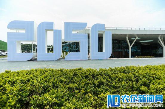 直击世界冠军惜败中国版AlphaGo，2050大会AI围棋赛还有哪些精彩