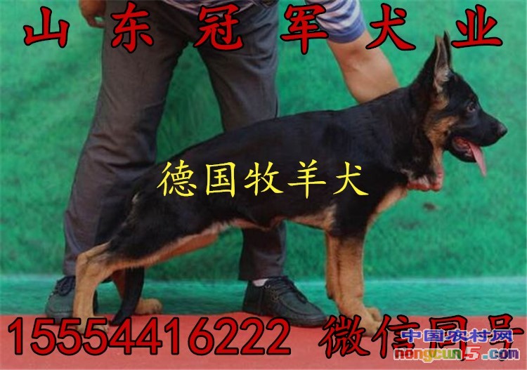 385438dbb6fd52668293ce50a118972bd507365d_副本