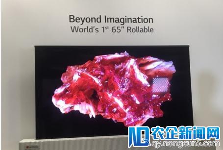 LG展示首款半透明柔性OLED，77英寸超高清