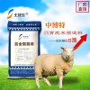 中博特育肥羊預(yù)混料告訴您的核心提示
