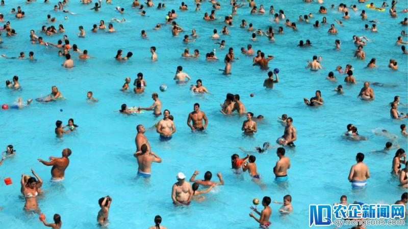 有点忧伤，76 亿人类原来只占地球生物量的 0.01%