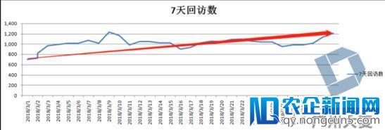 数据驱动运营，趋势驱动改变