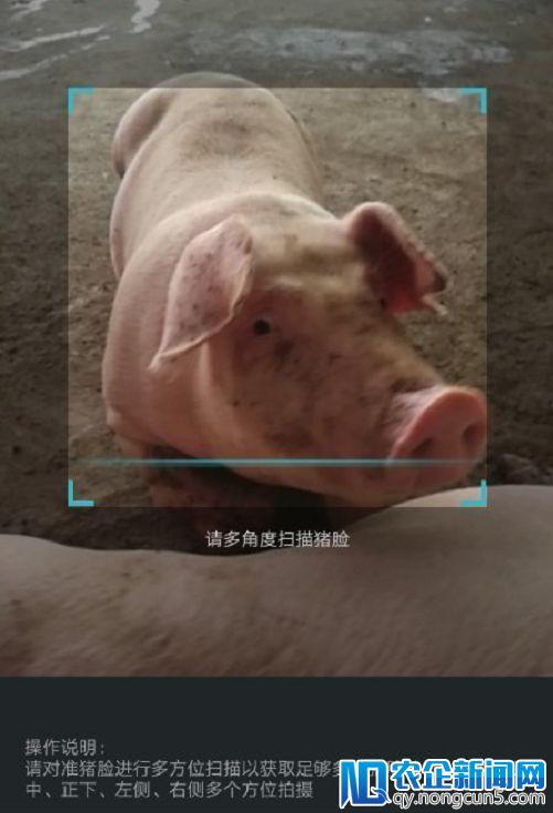 「猴脸识别」了解一下，这是派来救猴子的救兵