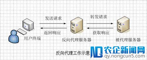 IIS实现反向代理