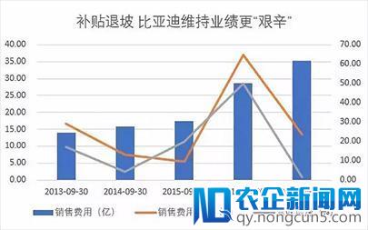 王传福：比亚迪的沉沦与突围