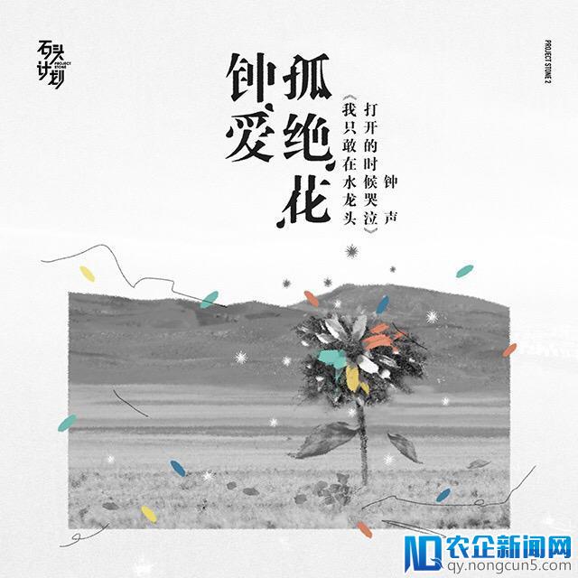 “石头计划”第二季助力更多音乐作品 首个原创作品合辑霸榜网易云音乐