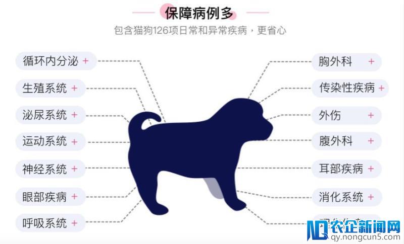 从宠物保险切入宠物健康管理，友安宠物要从根源上减轻宠物主养宠负担