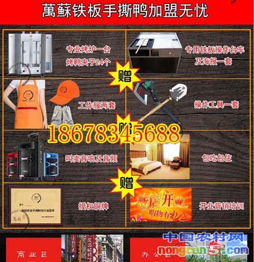 5ae1353fe38ce 拷貝