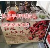做鐵板鴨前景如何