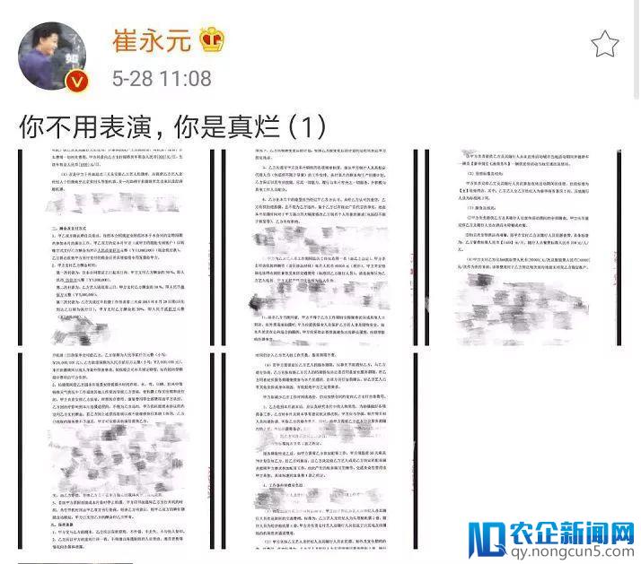 崔永元“手撕”范冰冰：明星逃税背后的冰山一角