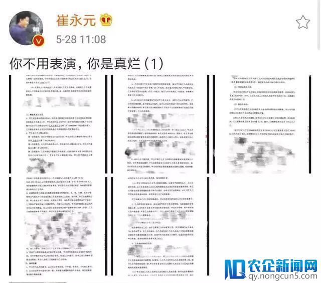 揭秘崔永元“撕”范冰冰事件：明星或逃税2300万