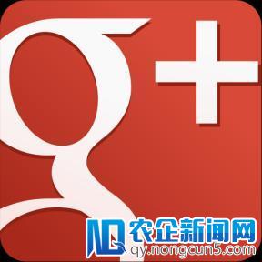 Google+用户数突破2.5亿，日活跃用户7500万