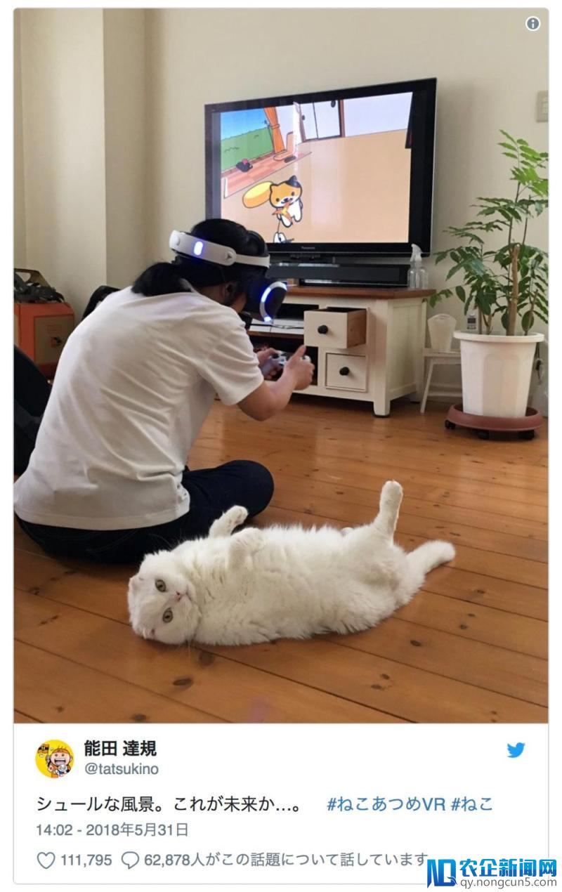 在《猫咪后院》的 VR 版游戏中，有无数猫奴们正在尽情地吸猫