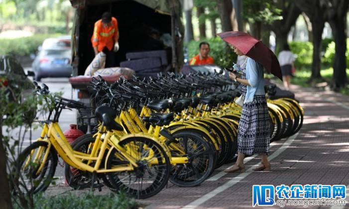 奔向下一片蓝海：中国品牌在印度市场的表现盘点