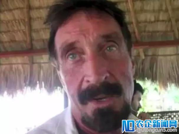 吸毒贩毒竞选总统，73岁安全教父 McAfee 这样花式上头条